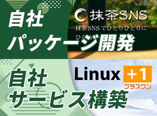 将来的には自社OSSサービスである「抹茶シリーズ」「Linux＋1」の開発にも携われます！