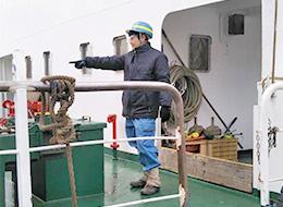 港湾荷役スタッフ/未経験OK/月給30万円~/年齢・職歴不問/実働7h/賞与3回/20~50代活躍/面接1回