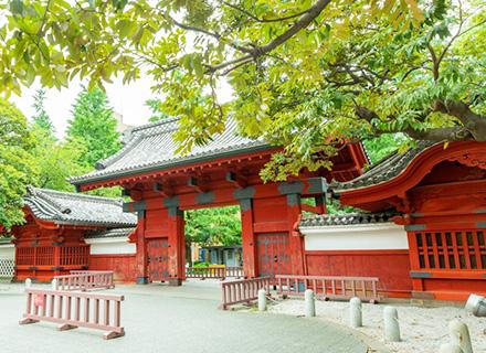 国立大学法人東京大学　情報基盤センター
