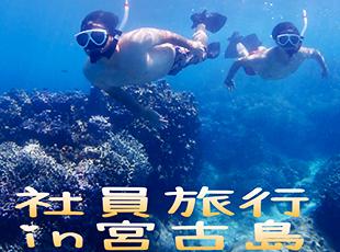 親睦会や打ち上げも社内で多数開催！楽しみながら働ける環境です！