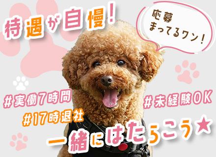 東京メディコムホールディングス株式会社