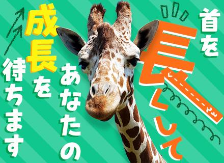 スターソフト株式会社