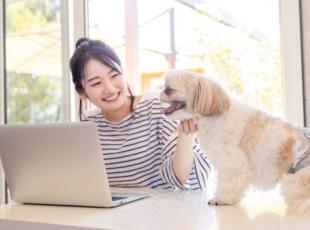 リモートワーク◆副業と両立◆ワークライフバランス重視…働き方は柔軟！タイパ◎充実の日々が送れます！