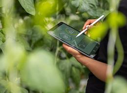 ソリューション・エンジニア/未経験OK/研修・サポート充実/社内異動制度でジョブチェンジ可/大手企業案件多数