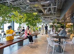 自社アプリ開発エンジニア（Flutter等）*100%自社勤務*服・髪・ネイルOK* フルリモ*年収800万可