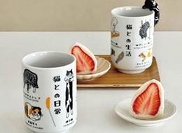 プロジェクトの企画を考えるだけでなく、形にできる環境です！