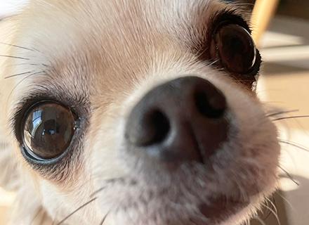 株式会社あかツキ