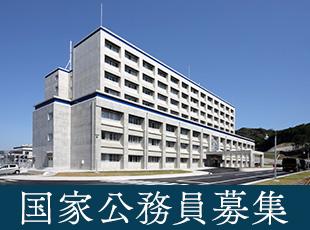 国家公務員として安定した基盤のもと、キャリアを磨くことができます。