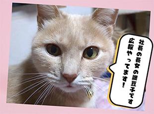 マスコット猫の広報担当【禰豆子】がお出迎えします♪