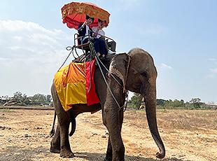 年に数回の海外研修も予定しています！
