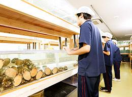 幅広い事業を展開しながら社会貢献をしています。