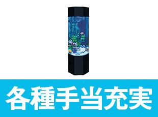 観賞魚リース事業を行っている弊会。観賞魚は病院など多くの施設で癒しを提供しています。