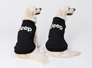 無駄を減らしているので残業もほとんどありません。