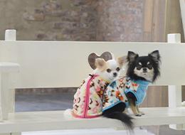 雨風を防ぐカッパや防寒のフリースなど機能性を持つものなど大切な家族を守るアイテムも多数。