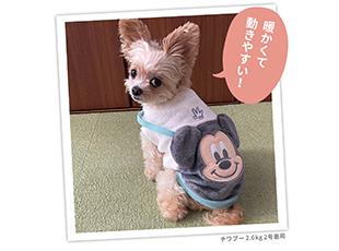 有名キャラクター・ブランドとのコラボレーションなどもあり、業界TOPクラスのシェアを誇ります。