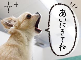 ジャコムの副社長「こたろう」です！ご応募お待ちしております♪