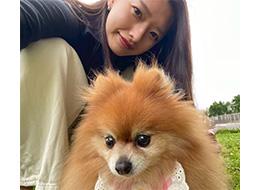 開発エンジニア/フルリモOK/月給30万円～/年収100万UP実績多数/還元率最大85%/リモートほぼ100％