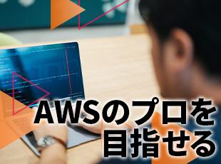 多岐にわたる業界への導入実績があり、各社専業制で顧客支援をしています。
